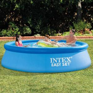 lot 10960 image: Intex 10-Feet x 30-Inch Easy Set Pool  Everything sealed up, APPEARS BRAND NEW