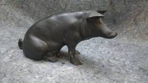 lot 487 image: Vintage Cast Iron Piggy Bank