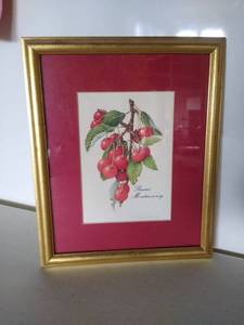 lot 6831 image: Wall Decor Cherries Guilded Frame