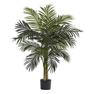 lot 2638 image: 4-Foot Golden Cane Palm Tree