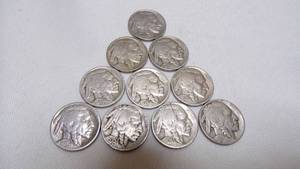 lot 7204 image: 10 BUFFALO NICKELS - SEE LAST PIC FOR DATES