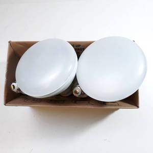 lot 249 image: 120-Watt Equivalent PAR38 Dimmable Energy Star Flood LED Light Bulb Bright White