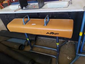 lot 3024 image: AMF Pommel Horse