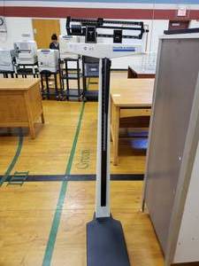 lot 3172 image: Health o Meter Scale