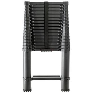 lot 2646 image: 16.5 ft Telescoping Ladder