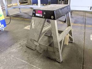 lot 5650 image: Werner Step Stool 300Lb