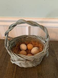 lot 8249 image: Cute Country Basket With Fake Eggs Location Front Room