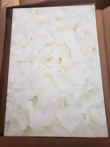 lot 86176 image: Flower Canvas Art 26 x 32