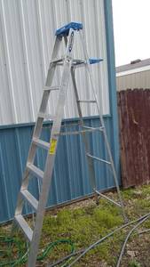 lot 656 image: Werner 8ft Ladder