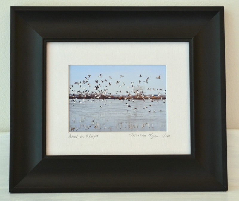 lot 5001 image: Flock in Flight