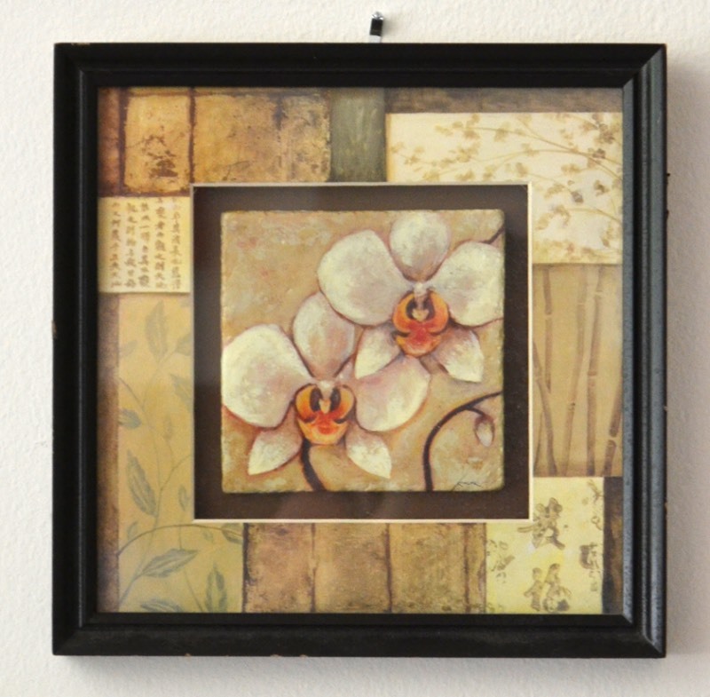 lot 5019 image: Orchids