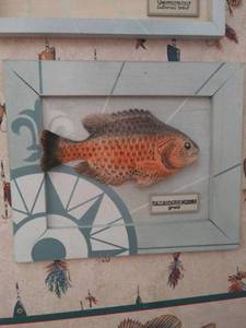 lot 8494 image: Hanging Framed Fish Decor