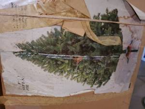 lot 12002 image: Christmas Tree