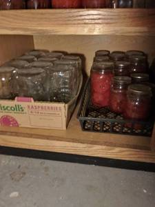 lot 11116 image: Canned Mason Jars of Old Food
