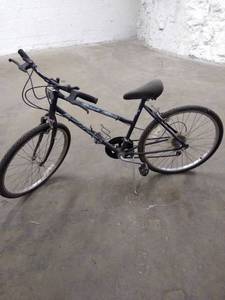 lot 1613 image: all terrain bike blue free spirit