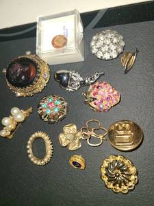 lot 1510 image: Brooches 14 pcs. Costume Jewelry. Girl Scouts, Lions Club, Friends University