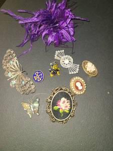 lot 1512 image: Brooches. Costume Jewelry 9 pcs. Woo Shocker and a Cameo