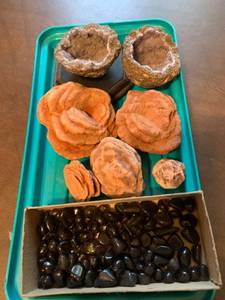 lot 2032 image: Assorted rocks and stones