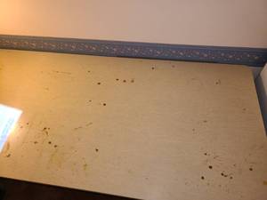 lot 3310 image: 6 FT. Collapsible Table