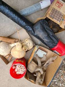 lot 4065 image: DRIFT WOOD Pine cones, Sea Shells, Gords, Chicken Wire and Garden No Weeds Mat,