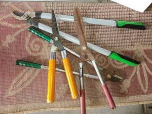 lot 4068 image: Gardening Tools. 4 Large Clippers