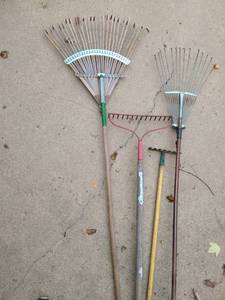 lot 4129 image: Rakes. 4 in Total and 4 Different Sizes