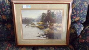 lot 9488 image: WHITETAIL DEER PICTURE