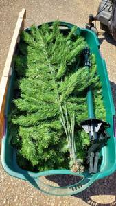 lot 2967 image: Christmas Tree With Tote