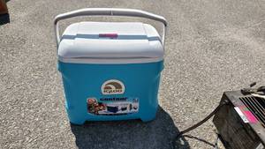 lot 2973 image: Igloo 30QT Cooler