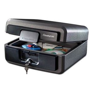 lot 511060 image: Sentrysafe Lg Waterproof Chest