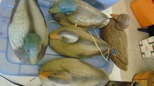 lot 10096 image: set of duck decoys - 2 mallards 3 hens