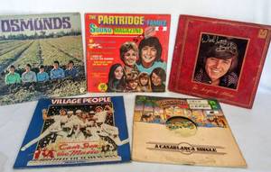 lot 5496 image: 5 Must Have Albums from the 70s & 80s  The Osmonds, The Partridge Family, Bobby Sherman, & The Village People (2)