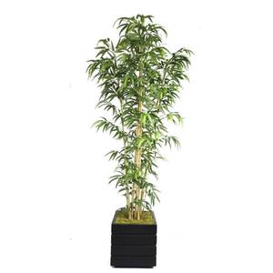lot 4722 image: Vintage Home VHX116204 78-Inch Natural Bamboo Tree in 14-Inch Fiber Stone Planter