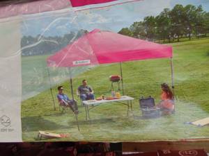 lot 3100 image: 10 x 10 Canopy - Sets up as it should
