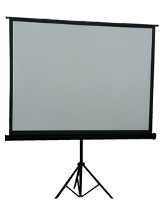 lot 5128 image: Two Tonics Projector Screen ( 100 )