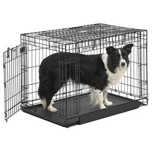 lot 5180 image: Midwest Homes for Pets Ovation Double Door Dog Crate, 36-Inch