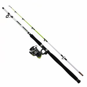 lot 2984 image: Big Cat XT Spinning Combo