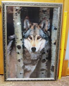 lot 6992 image: Beautiful Wolf Wall Picture        See Photo