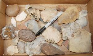 lot 2939 image: Lot of Collectible Rocks       Pretty Cool