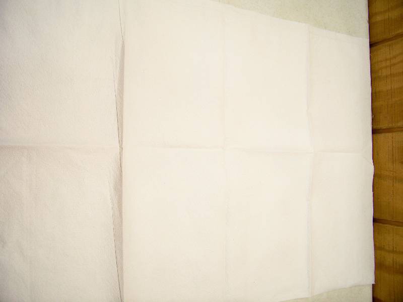 lot 1099 image: Case of 100 Avalon TissuePoly Pillowcases