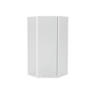 lot 4064 image: American Standard Axis Shower Door