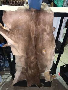 lot 4690 image: Deer Hide Location B1