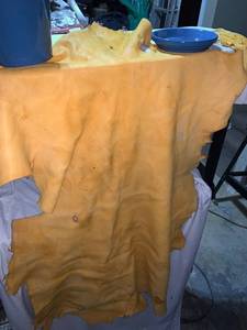 lot 4724 image: Animal Skin Location C4