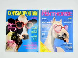 lot 5194 image: Super Fun Lot  1991 The Best of PENTHORSE and 1987 COWSMOPOLITAN Magazines - Both have Centerfolds