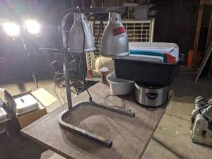 lot 6364 image: Heating Lamps