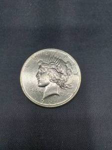 lot 2027 image: 1992 USA  Peace Coin
