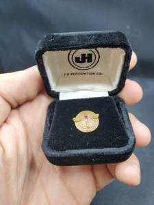lot 2146 image: 10K Gold Filled 10 Year Anniversary Boeing Pin