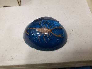 lot 2272 image: Scorpion in Acrylic Paperweight