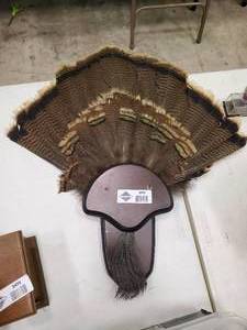 lot 2471 image: Turkey Feather Mount