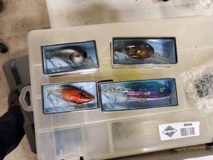 lot 2541 image: Lot of 4 Bite Light Swim Baits